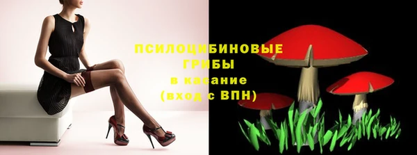 спиды Михайловск